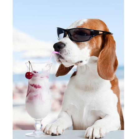 Poster Decorativo Cachorro Sorvete 202701793 - Papel na Parede