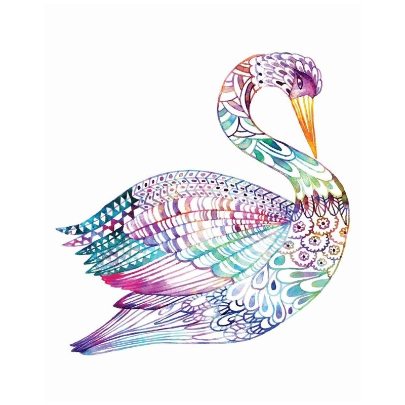 Poster Decorativo cisne colorido PA0113 - Papel na Parede