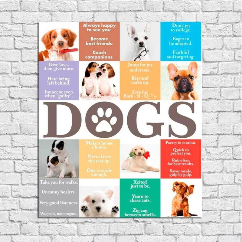 Poster Decorativo Dogs 2310 - Papel na Parede