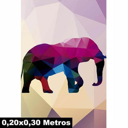 Poster Decorativo Elefante Safári 21081 - Papel na Parede