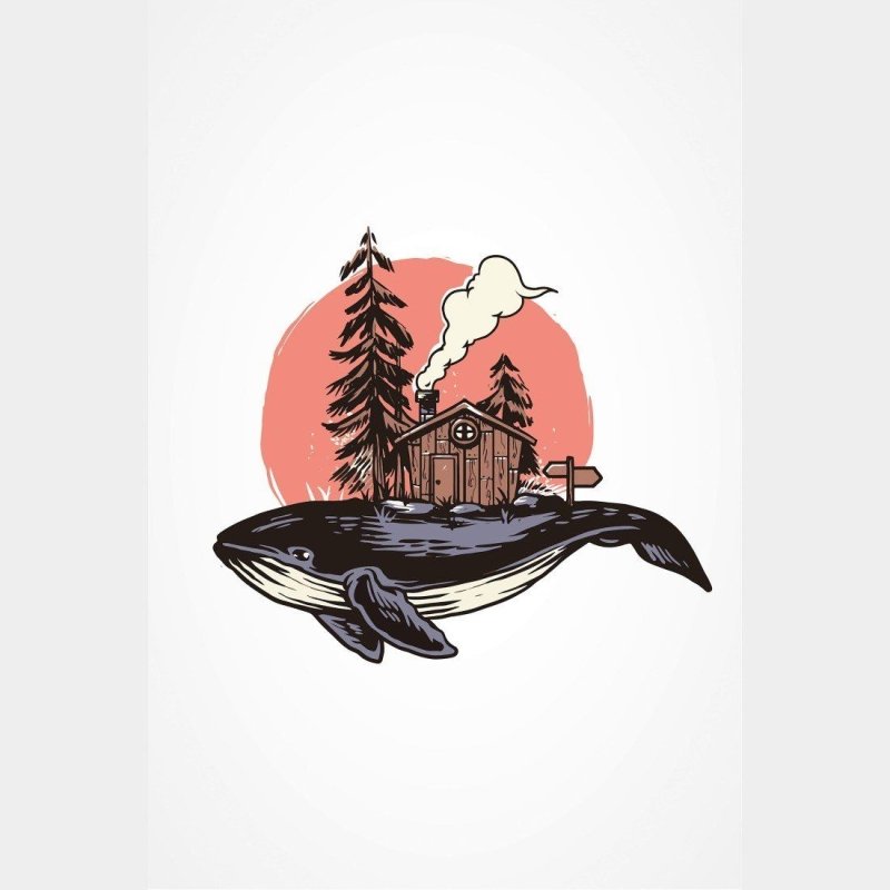 Poster Decorativo Jovem Baleia N015212 - Papel na Parede