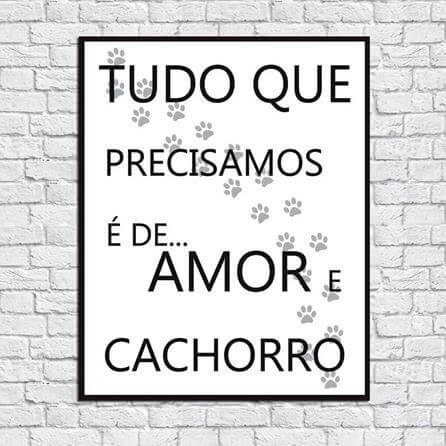quadro decorativo Cachorro 8503 - Papel na Parede