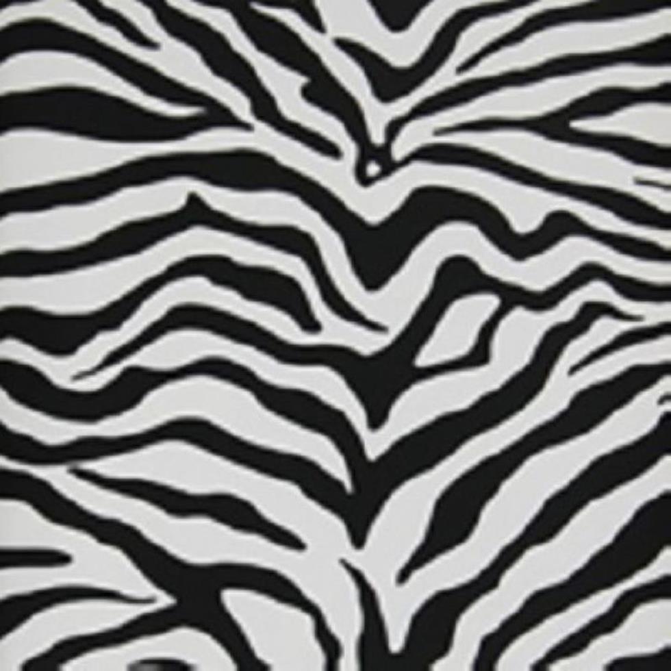 Papel de Parede Animal Print Zebra Risky Business KD1798RB