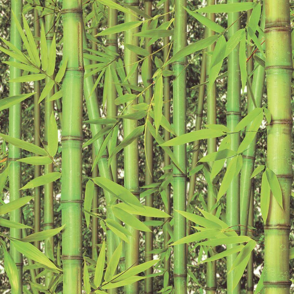 Papel de Parede Bambu Replik J780-04