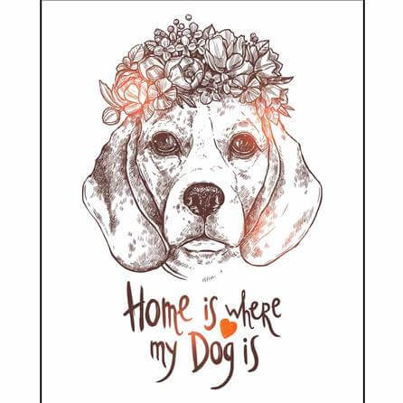 Poster Decorativo Cachorro Pet 14470131