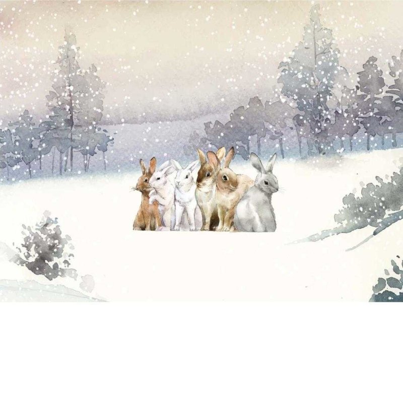 Painel Coelhos na Neve PA56330 - Papel na Parede