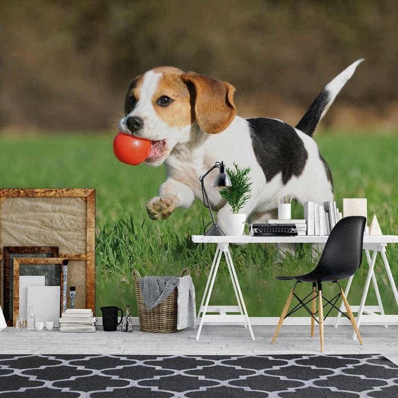 Painel Fotográfico Beagle filhote Correndo - Papel na Parede