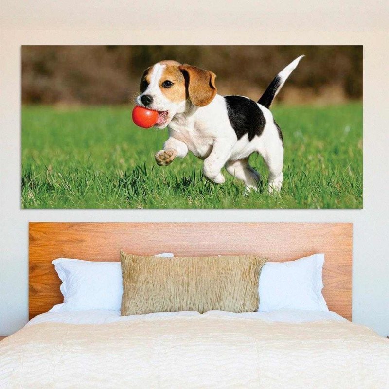 Painel Fotográfico Beagle filhote Correndo - Papel na Parede