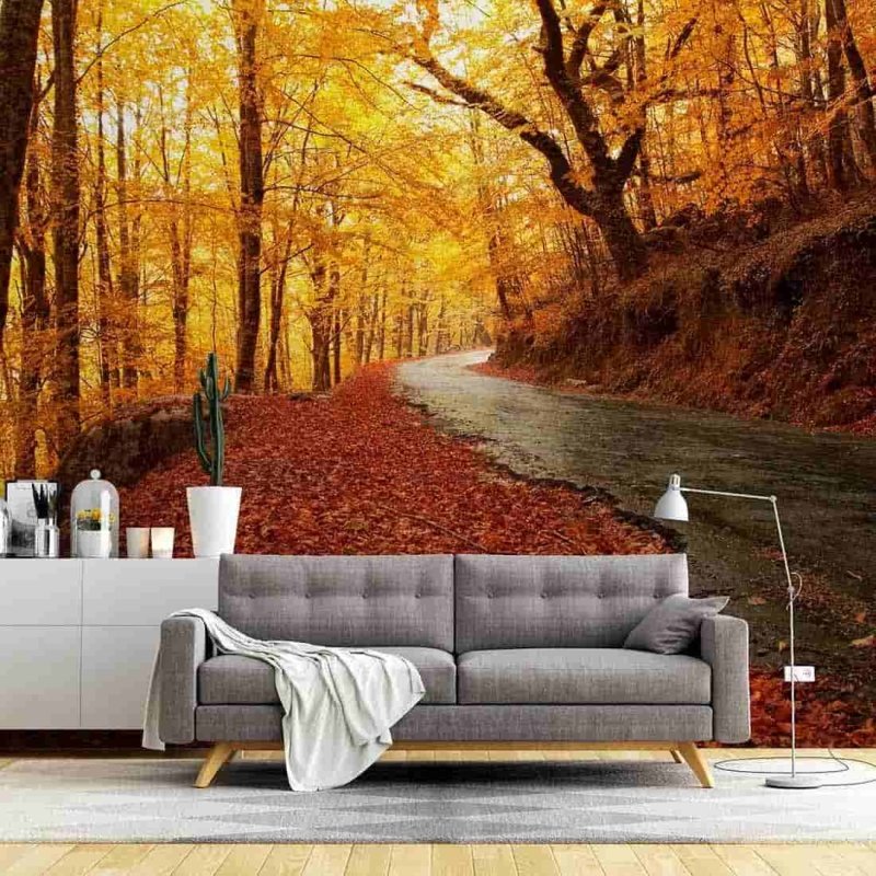 Painel Fotográfico Estrada com Folhas coloridas de Outono - Papel na Parede