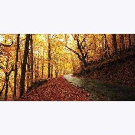 Painel Fotográfico Estrada com Folhas coloridas de Outono - Papel na Parede