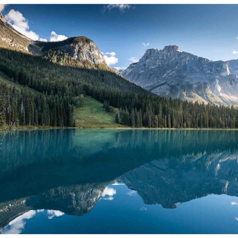 Painel Fotográfico Floresta de Pinehiros Lago e Montanhas Geladas N07180 - Papel na Parede