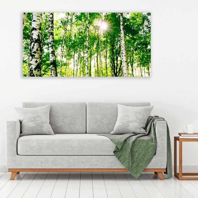 Painel Fotográfico Floresta Natureza 6457456 - Papel na Parede