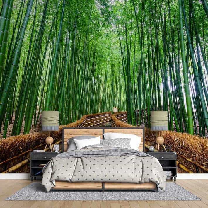 Painel Fotográfico Floresta no Japão - Papel na Parede