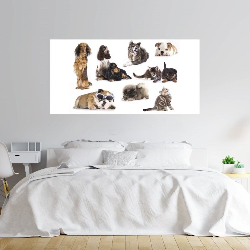 Painel Fotográfico Gatos e Cachorros N012185 - Papel na Parede