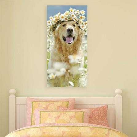 Painel Fotográfico Golden Retriever - Papel na Parede