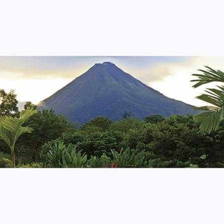 Painel Fotográfico Jardim costa Rica - Papel na Parede