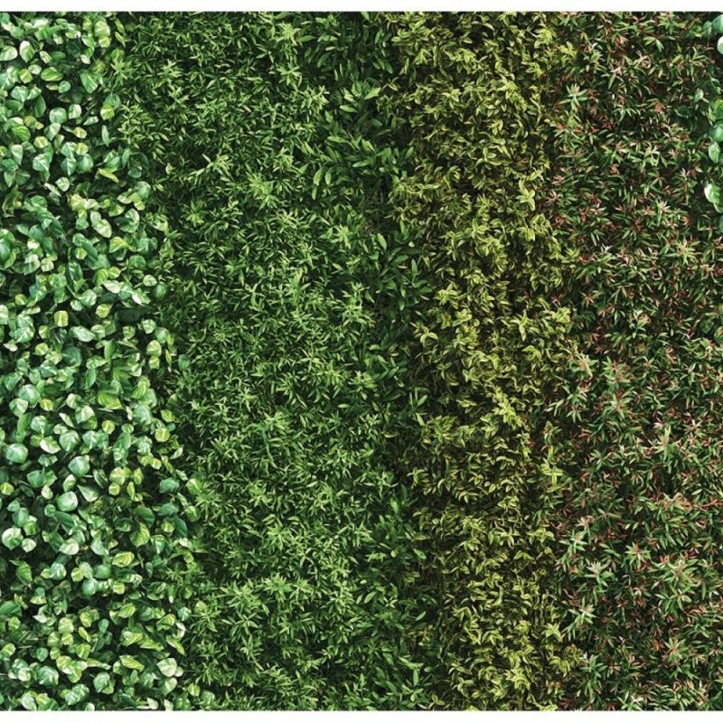 Painel Fotográfico Jardim Vertical Folhas Verdes N017142 - Papel na Parede