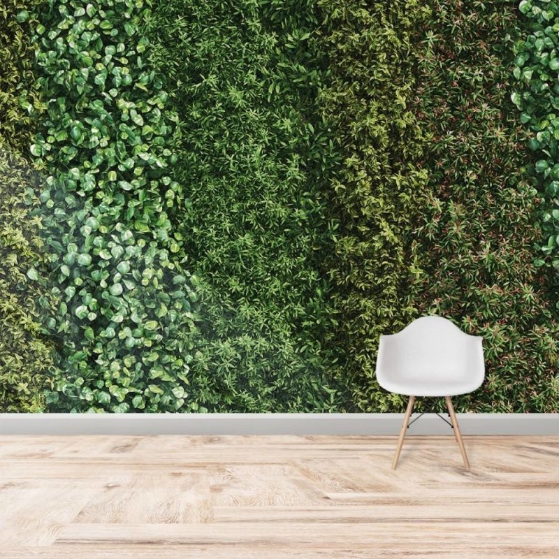 Painel Fotográfico Jardim Vertical Folhas Verdes N017142 - Papel na Parede