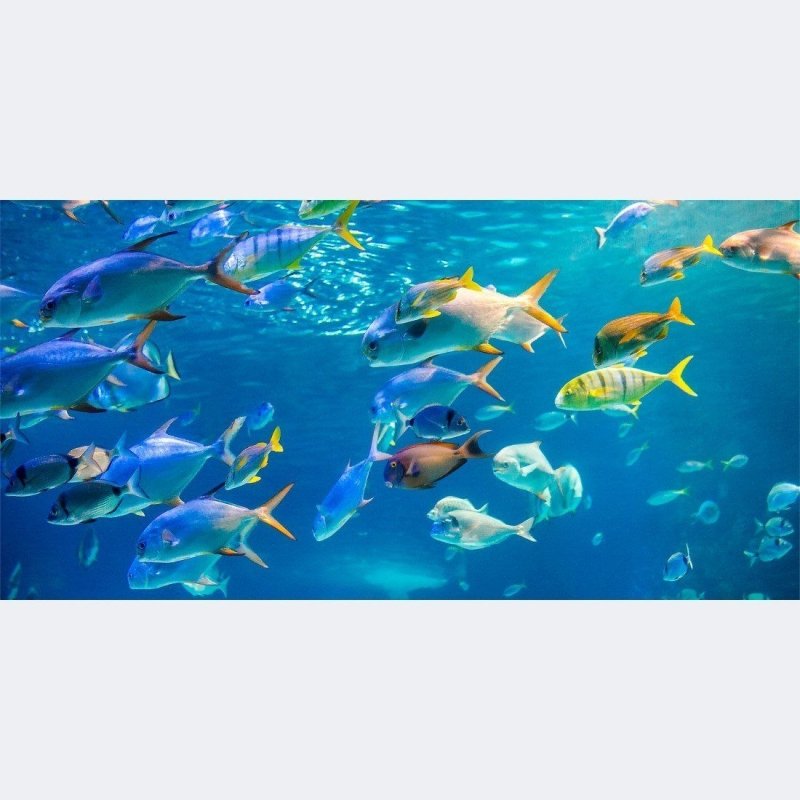 Painel Fotográfico Oceano N014300 - Papel na Parede
