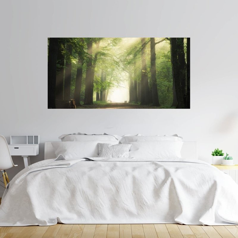 Painel Fotográfico Paisagem Árvores N09296 - Papel na Parede