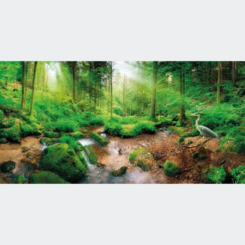 Painel Fotográfico Paisagem Floresta N016140 - Papel na Parede