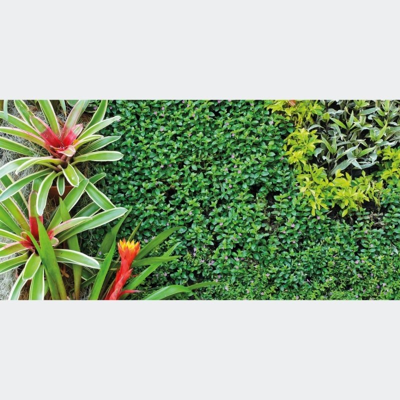 Painel Fotográfico Paisagem Jardim N016108 - Papel na Parede