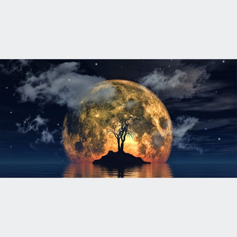 Painel Fotográfico Paisagem Noturna Lua N016145 - Papel na Parede