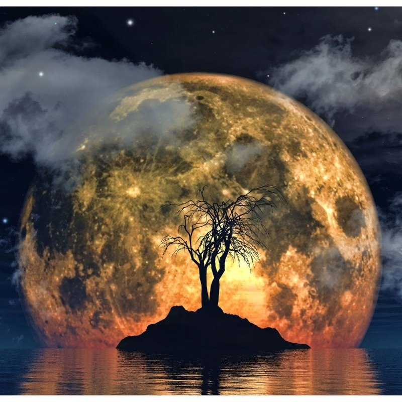 Painel Fotográfico Paisagem Noturna Lua N016145 - Papel na Parede