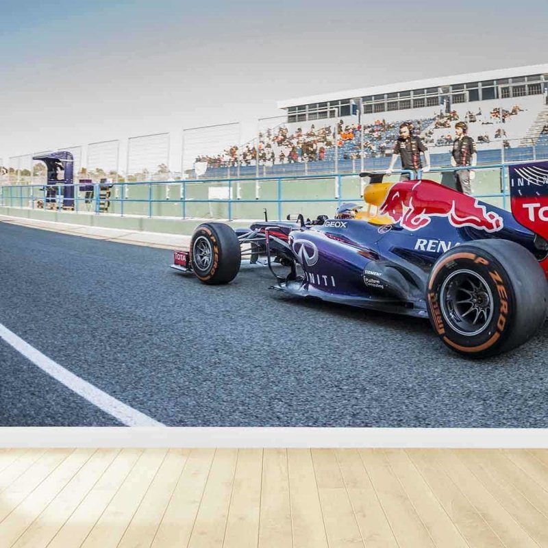 Painel Fotográfico Sebastian vettel Fórmula 1 - Papel na Parede