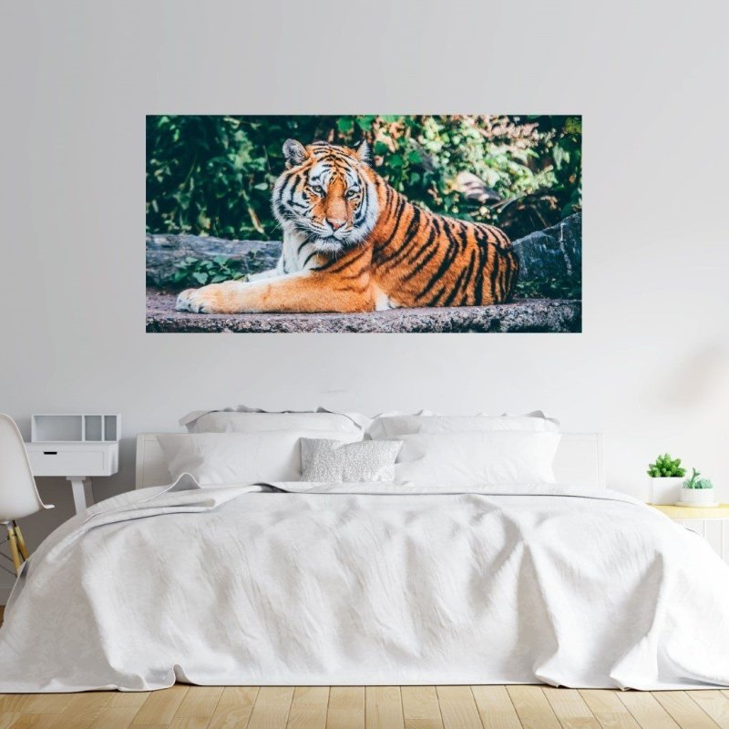 Painel Fotográfico Tigre N014318 - Papel na Parede