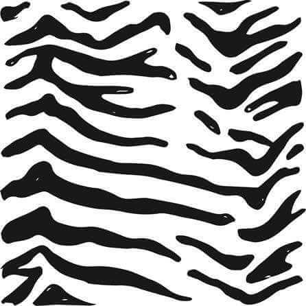 Papel de Parede Adesivo Animal Print Zebra 519672283 - Papel na Parede