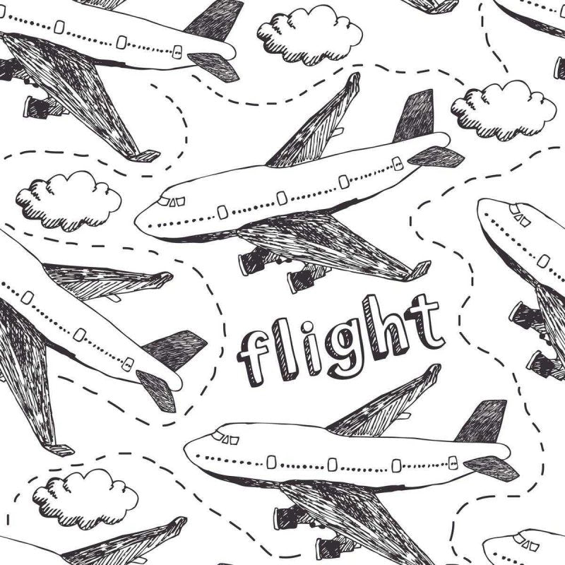 Papel de Parede Adesivo Avião Preto e Branco N04126 - Papel na Parede