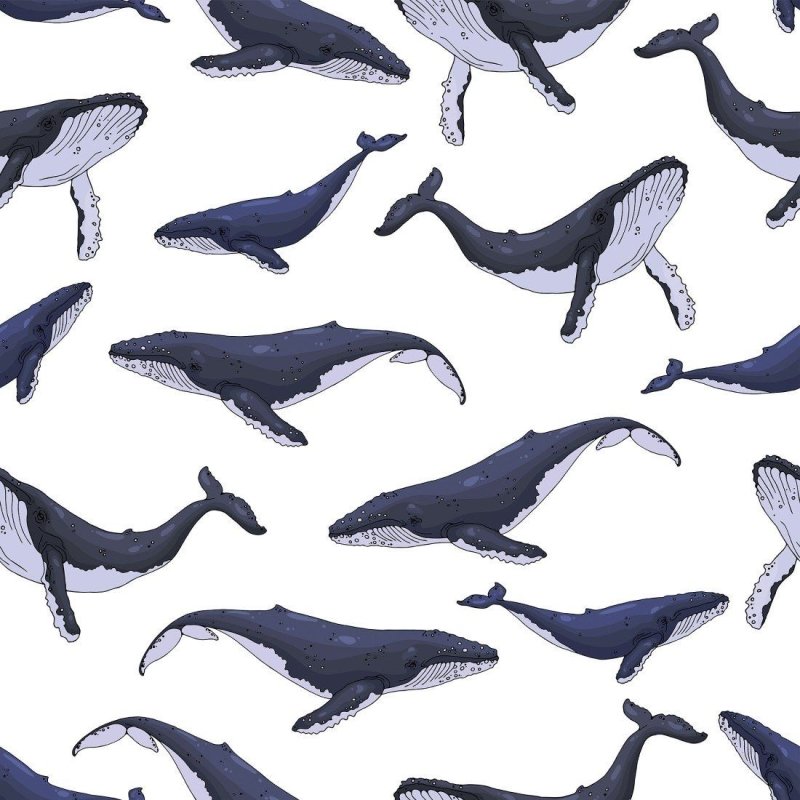 Papel de Parede Adesivo Baleias no Mar N015074 - Papel na Parede