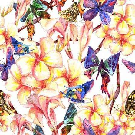 Papel de Parede Adesivo Borboleta Floral 224840626 - Papel na Parede