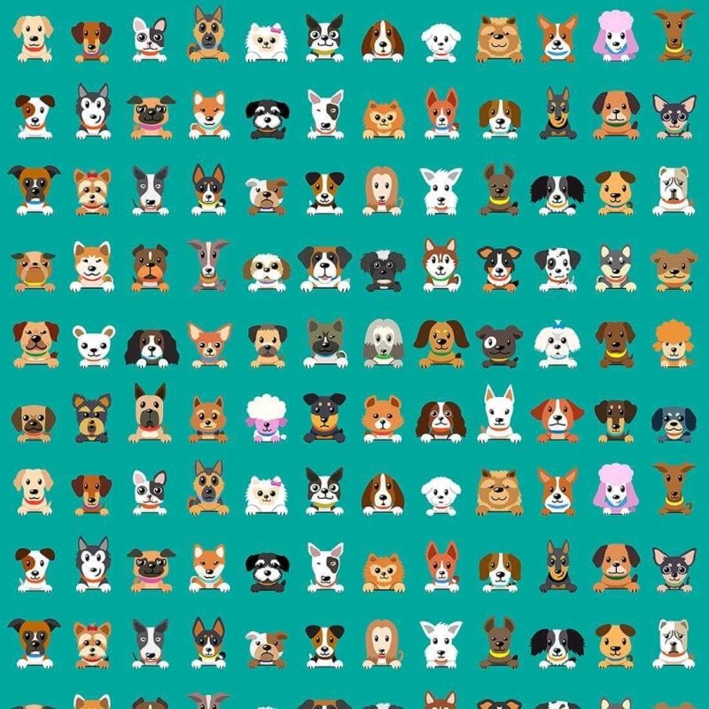 Papel de Parede Adesivo Cachorros N824 - Papel na Parede