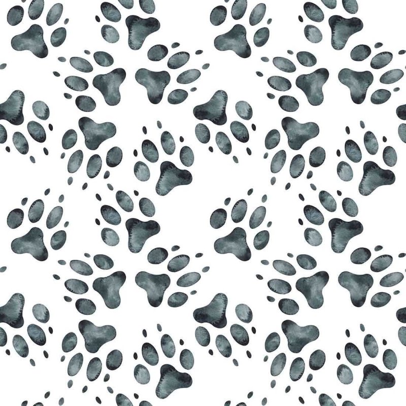 Papel de Parede Adesivo Comércio Pet Animal Print N02215 - Papel na Parede