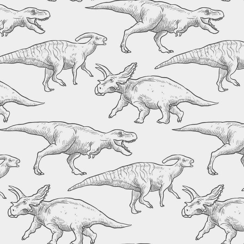 Papel de Parede Adesivo Dinossauro N50856 - Papel na Parede