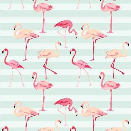 Papel de Parede Adesivo Flamingo Tropical 0858572 - Papel na Parede