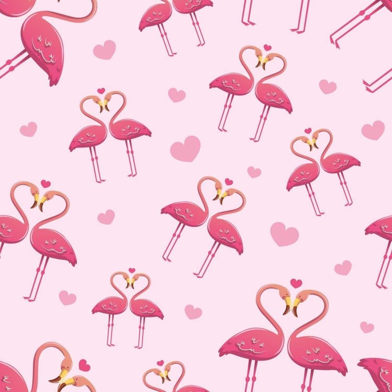 Papel de Parede Adesivo flamingos namorados N03118 - Papel na Parede