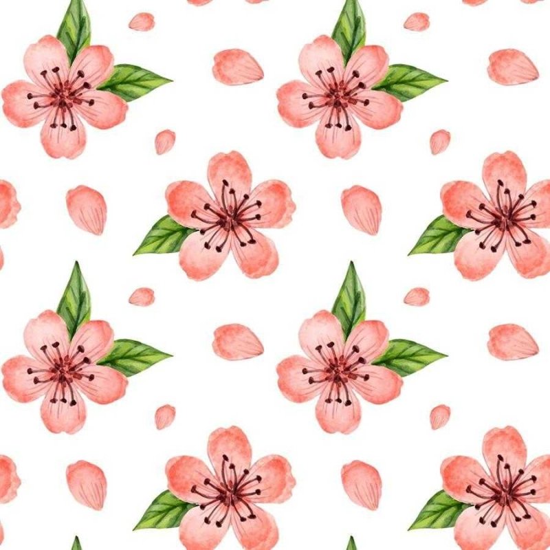 Papel de Parede Adesivo Flor de Cerejeira em Aquarela N06127 - Papel na Parede