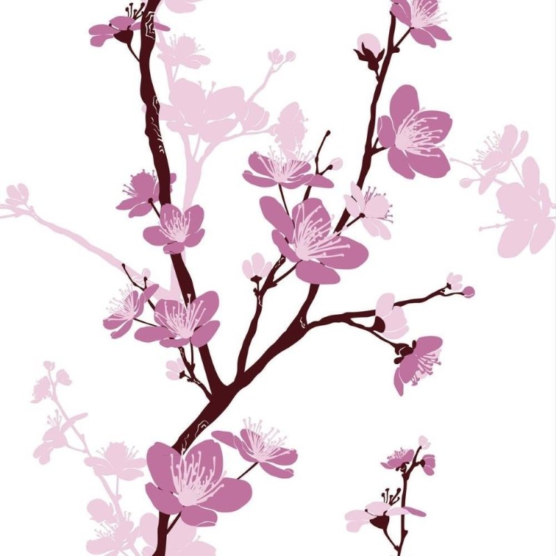 Papel de Parede Adesivo Flor de Cerejeira Sakura N011062 - Papel na Parede