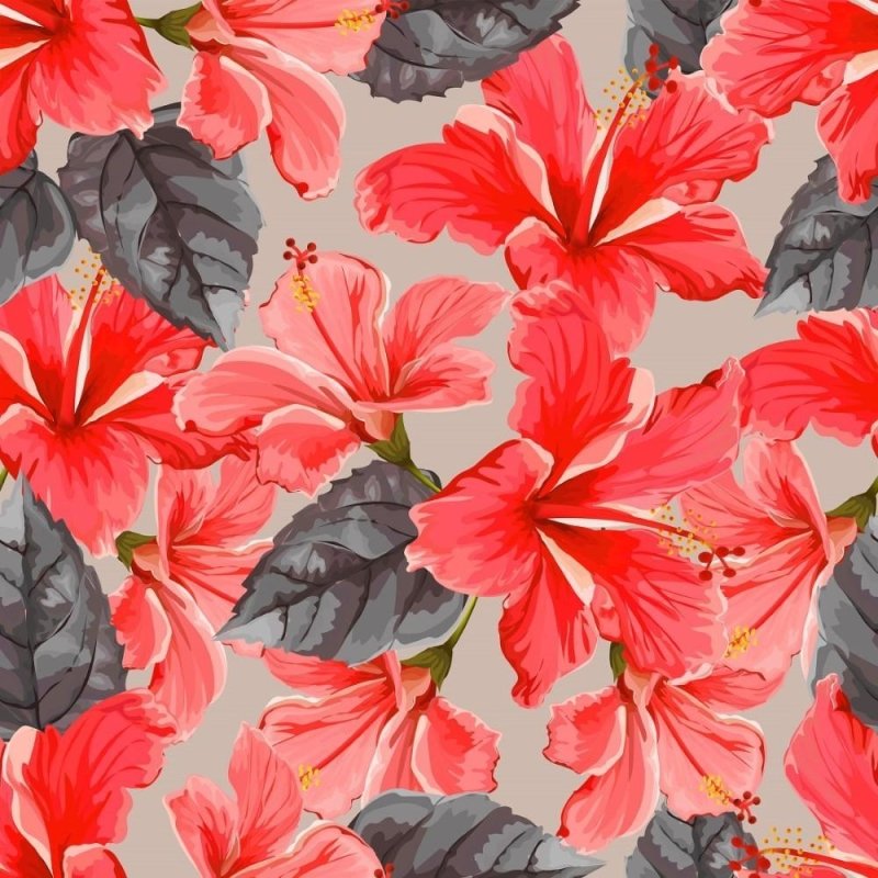 Papel de Parede Adesivo Floral Hibiscus N013132 - Papel na Parede