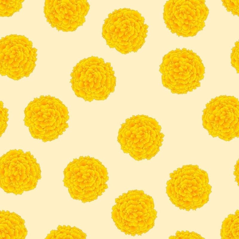 Papel de Parede Adesivo Floral Mari Gold N011143 - Papel na Parede