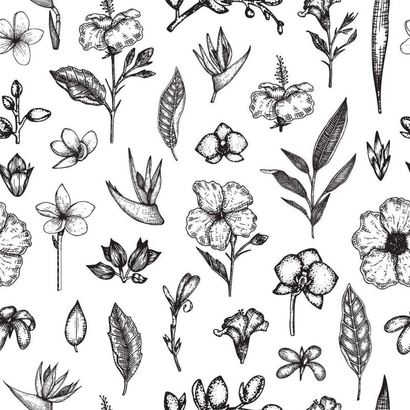 Papel de Parede Adesivo Floral N02219 - Papel na Parede