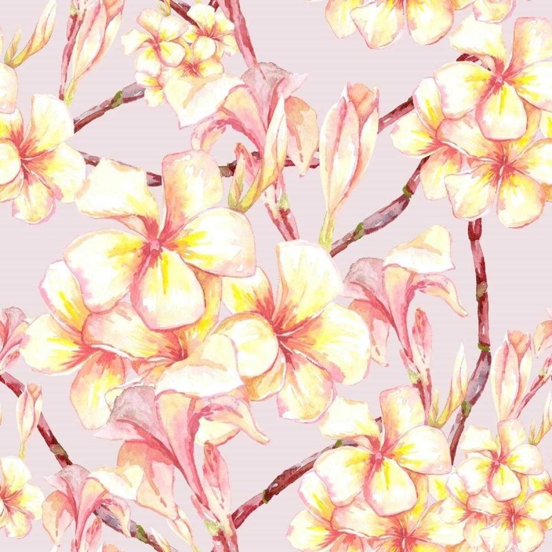 Papel de Parede Adesivo Flores tropicais N03137 - Papel na Parede