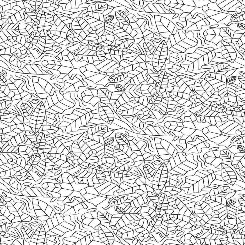 Papel de Parede Adesivo Folha Colorir N02141 - Papel na Parede