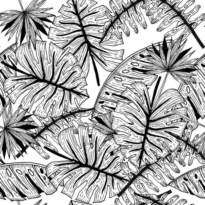 Papel de Parede Adesivo Folhagem Tropical N04167 - Papel na Parede