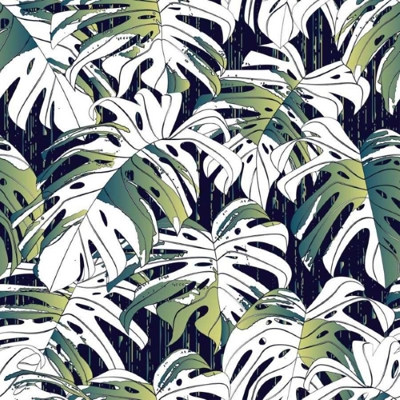 Papel de Parede Adesivo Folhas Monstera N013152 - Papel na Parede