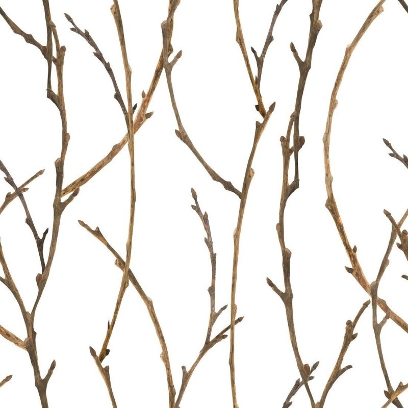 Papel de Parede Adesivo Galhos N013284 - Papel na Parede