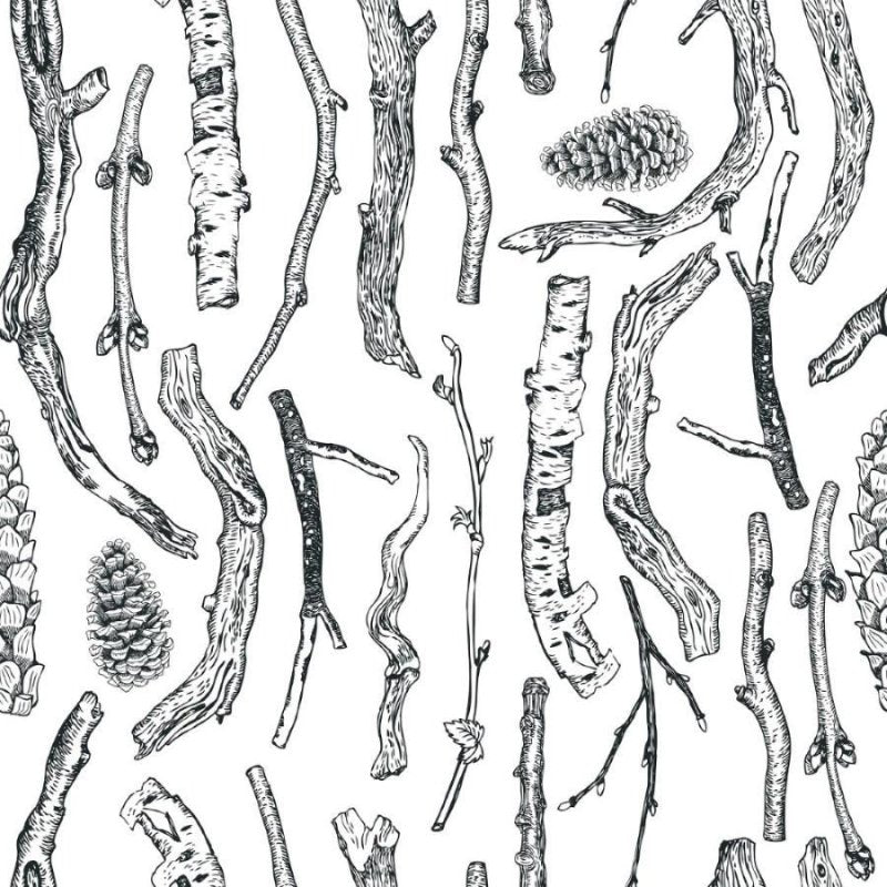 Papel de Parede Adesivo Galhos Secos e Pinhas N012030 - Papel na Parede